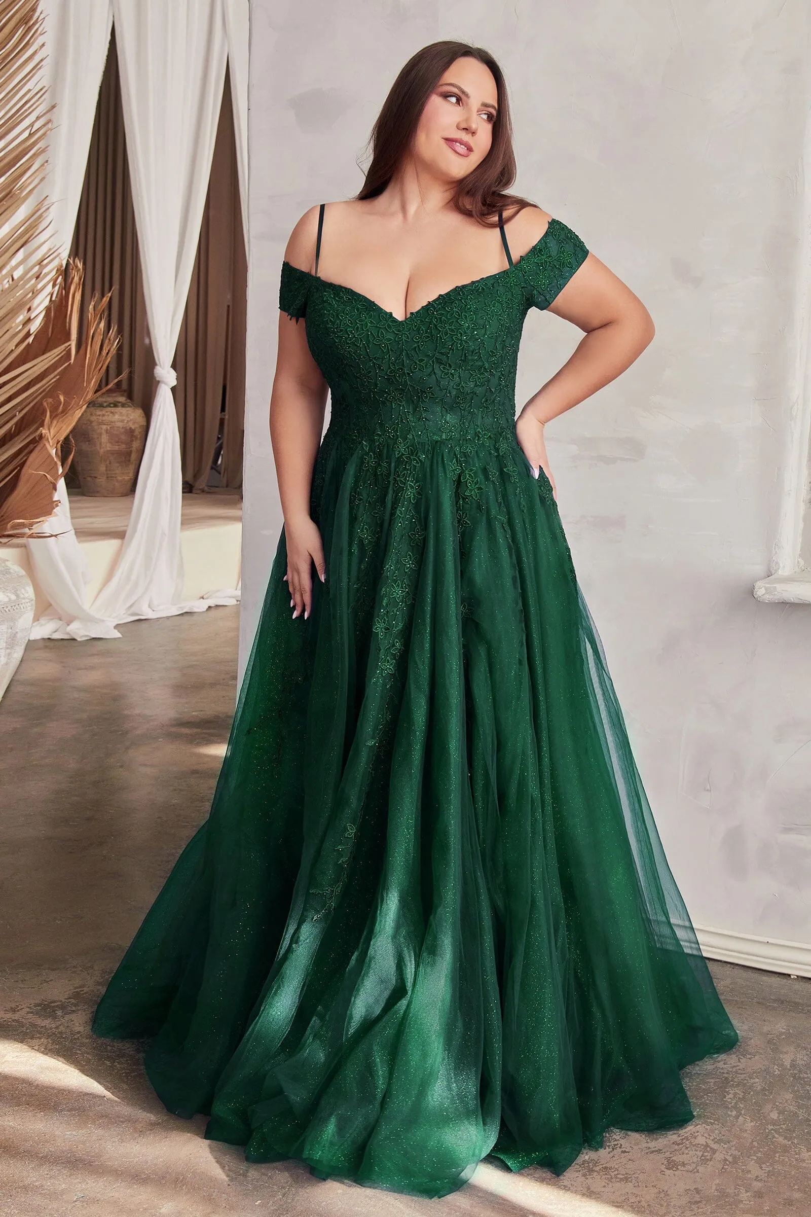 Applique Off Shoulder Tulle Slit Gown by Ladivine C154