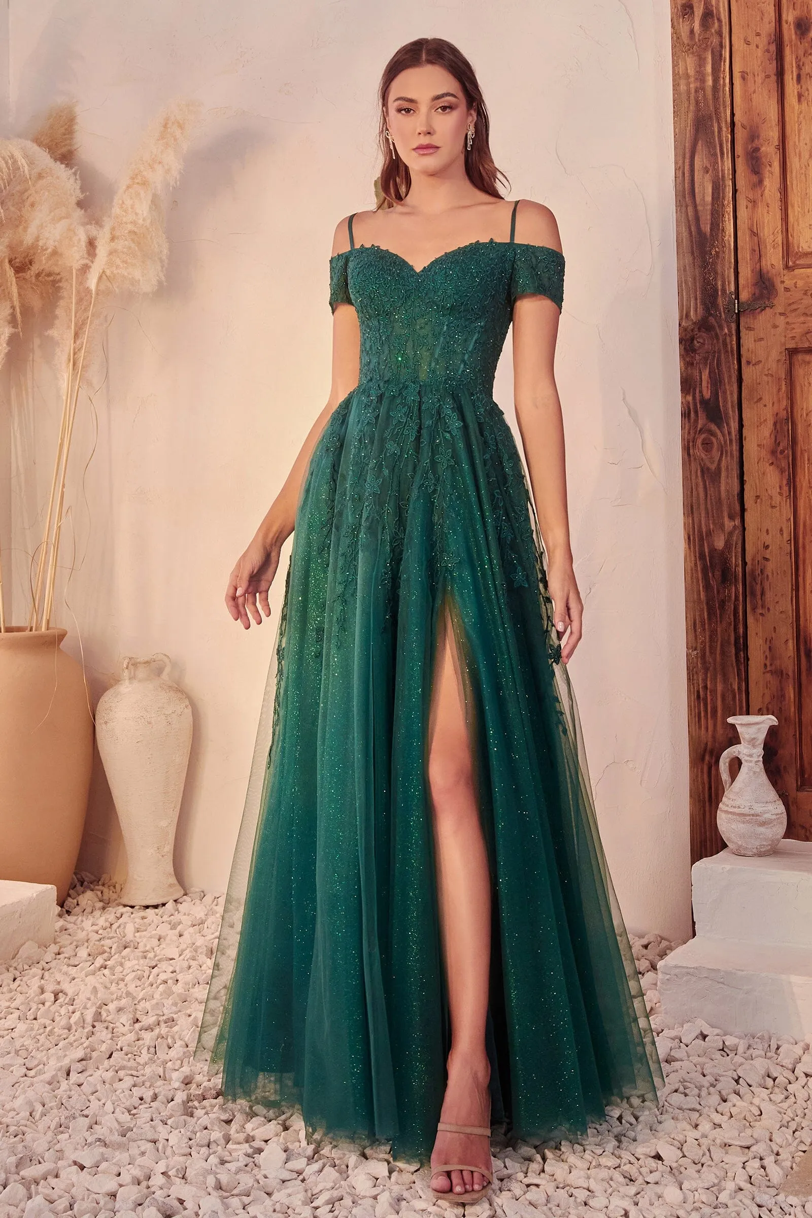 Applique Off Shoulder Tulle Slit Gown by Ladivine C154